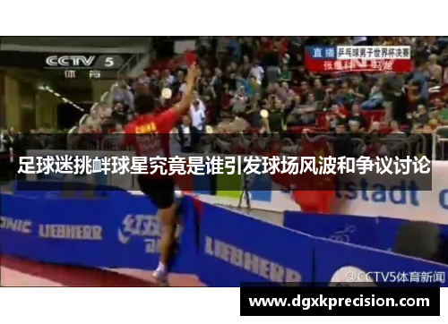 足球迷挑衅球星究竟是谁引发球场风波和争议讨论